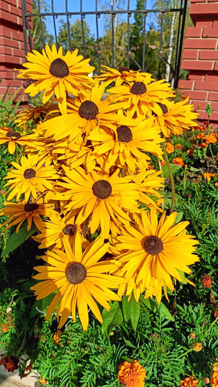 Гостиница Соть Данилов-27