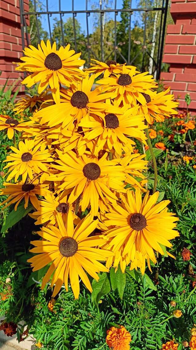 Гостиница Соть Данилов-26